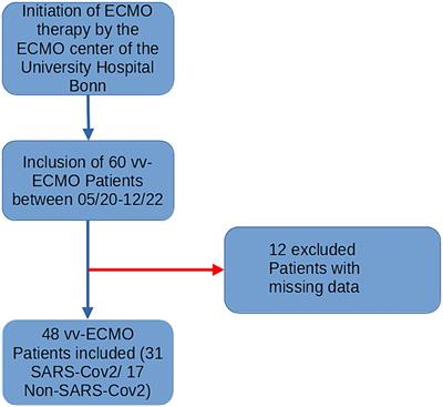 Increased impairment of cerebral autoregulation in COVID-19 associated pulmonary failure requiring extracorporeal membrane oxygenation